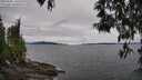 ./images/koeye/fitz-hugh/20250505/fitz-hugh20250505_140508M.jpg