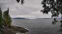 ./images/koeye/fitz-hugh/20250505/fitz-hugh20250505_141010M.jpg