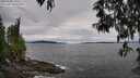 ./images/koeye/fitz-hugh/20250505/fitz-hugh20250505_141510M.jpg