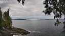 ./images/koeye/fitz-hugh/20250505/fitz-hugh20250505_143011M.jpg