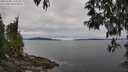 ./images/koeye/fitz-hugh/20250505/fitz-hugh20250505_143510M.jpg