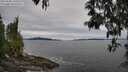 ./images/koeye/fitz-hugh/20250505/fitz-hugh20250505_144508M.jpg