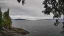 ./images/koeye/fitz-hugh/20250505/fitz-hugh20250505_145510M.jpg
