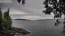./images/koeye/fitz-hugh/20250505/fitz-hugh20250505_150510M.jpg