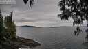 ./images/koeye/fitz-hugh/20250505/fitz-hugh20250505_151010M.jpg