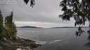 ./images/koeye/fitz-hugh/20250505/fitz-hugh20250505_152510M.jpg