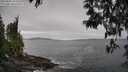 ./images/koeye/fitz-hugh/20250505/fitz-hugh20250505_153509M.jpg
