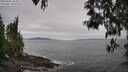 ./images/koeye/fitz-hugh/20250505/fitz-hugh20250505_154010M.jpg