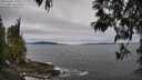 ./images/koeye/fitz-hugh/20250505/fitz-hugh20250505_155510M.jpg