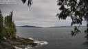 ./images/koeye/fitz-hugh/20250505/fitz-hugh20250505_160510M.jpg