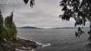 ./images/koeye/fitz-hugh/20250505/fitz-hugh20250505_161510M.jpg