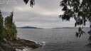 ./images/koeye/fitz-hugh/20250505/fitz-hugh20250505_162510M.jpg