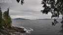 ./images/koeye/fitz-hugh/20250505/fitz-hugh20250505_163010M.jpg