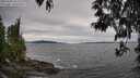 ./images/koeye/fitz-hugh/20250505/fitz-hugh20250505_163508M.jpg