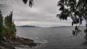 ./images/koeye/fitz-hugh/20250505/fitz-hugh20250505_164010M.jpg