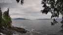 ./images/koeye/fitz-hugh/20250505/fitz-hugh20250505_164510M.jpg