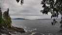 ./images/koeye/fitz-hugh/20250505/fitz-hugh20250505_165008M.jpg