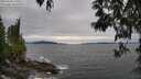 ./images/koeye/fitz-hugh/20250505/fitz-hugh20250505_170510M.jpg