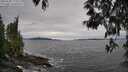 ./images/koeye/fitz-hugh/20250505/fitz-hugh20250505_171010M.jpg