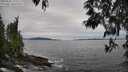 ./images/koeye/fitz-hugh/20250505/fitz-hugh20250505_171511M.jpg