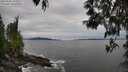 ./images/koeye/fitz-hugh/20250505/fitz-hugh20250505_172009M.jpg
