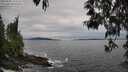 ./images/koeye/fitz-hugh/20250505/fitz-hugh20250505_172510M.jpg