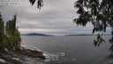 ./images/koeye/fitz-hugh/20250505/fitz-hugh20250505_173509M.jpg