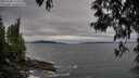 ./images/koeye/fitz-hugh/20250505/fitz-hugh20250505_175009M.jpg