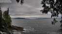 ./images/koeye/fitz-hugh/20250505/fitz-hugh20250505_175509M.jpg