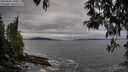 ./images/koeye/fitz-hugh/20250505/fitz-hugh20250505_180013M.jpg