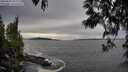 ./images/koeye/fitz-hugh/20250505/fitz-hugh20250505_183510M.jpg