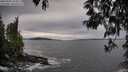 ./images/koeye/fitz-hugh/20250505/fitz-hugh20250505_184010M.jpg