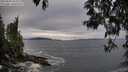 ./images/koeye/fitz-hugh/20250505/fitz-hugh20250505_184509M.jpg