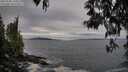 ./images/koeye/fitz-hugh/20250505/fitz-hugh20250505_190009M.jpg