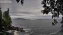 ./images/koeye/fitz-hugh/20250505/fitz-hugh20250505_190507M.jpg