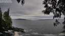 ./images/koeye/fitz-hugh/20250505/fitz-hugh20250505_191009M.jpg