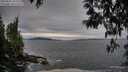 ./images/koeye/fitz-hugh/20250505/fitz-hugh20250505_192508M.jpg