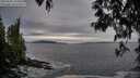 ./images/koeye/fitz-hugh/20250505/fitz-hugh20250505_193008M.jpg