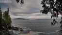 ./images/koeye/fitz-hugh/20250505/fitz-hugh20250505_193508M.jpg
