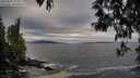 ./images/koeye/fitz-hugh/20250505/fitz-hugh20250505_194009M.jpg
