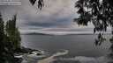 ./images/koeye/fitz-hugh/20250505/fitz-hugh20250505_195509M.jpg