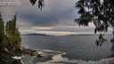 ./images/koeye/fitz-hugh/20250505/fitz-hugh20250505_200009M.jpg
