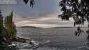 ./images/koeye/fitz-hugh/20250505/fitz-hugh20250505_200508M.jpg