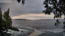 ./images/koeye/fitz-hugh/20250505/fitz-hugh20250505_202009M.jpg