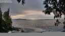 ./images/koeye/fitz-hugh/20250505/fitz-hugh20250505_202509M.jpg