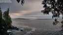 ./images/koeye/fitz-hugh/20250505/fitz-hugh20250505_203008M.jpg