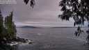 ./images/koeye/fitz-hugh/20250505/fitz-hugh20250505_210009M.jpg