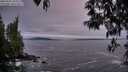 ./images/koeye/fitz-hugh/20250505/fitz-hugh20250505_210509M.jpg