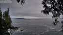 ./images/koeye/fitz-hugh/20250505/fitz-hugh20250505_211009M.jpg