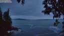 ./images/koeye/fitz-hugh/20250505/fitz-hugh20250505_213509M.jpg